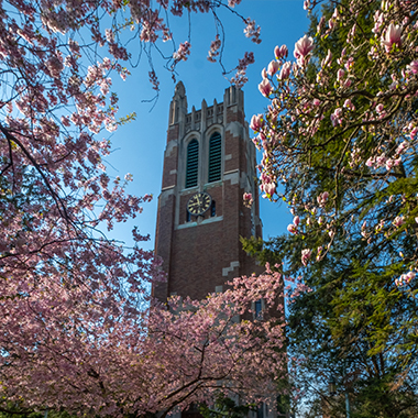 Photo of Beaumont Tower on the MSU campus.